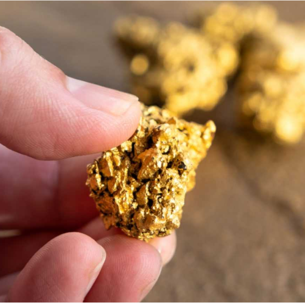 imagen ilustrativa pepita de oro